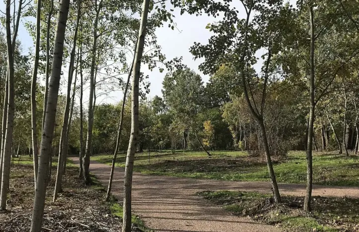 Prodej bytu 2+kk, Brno, Mírová, 56 m2