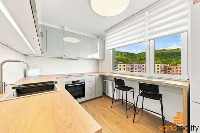 Pronájem bytu 1+1, Ústí nad Labem, Jizerská, 42 m2
