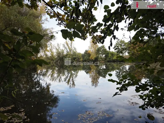 Prodej bytu 3+kk, Ovčáry, 90 m2