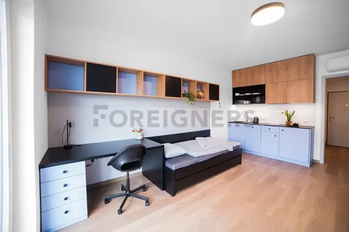 Pronájem bytu 1+kk, Olomouc, Edmunda Husserla, 29 m2
