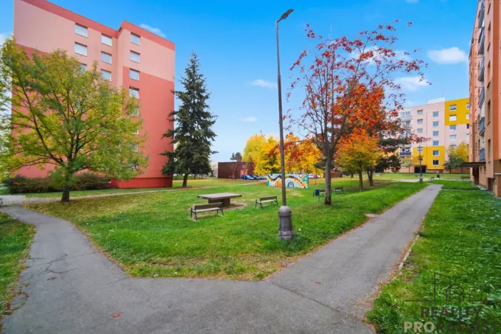Prodej bytu 2+1, Chotěboř, Břevnická, 54 m2