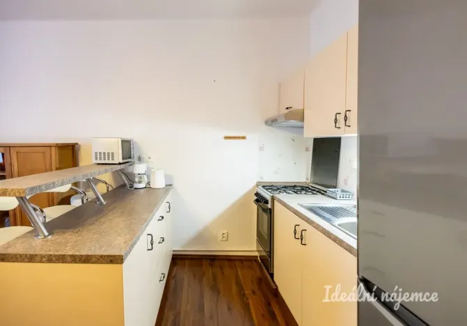 Pronájem bytu 1+kk, Praha - Žižkov, Viklefova, 38 m2