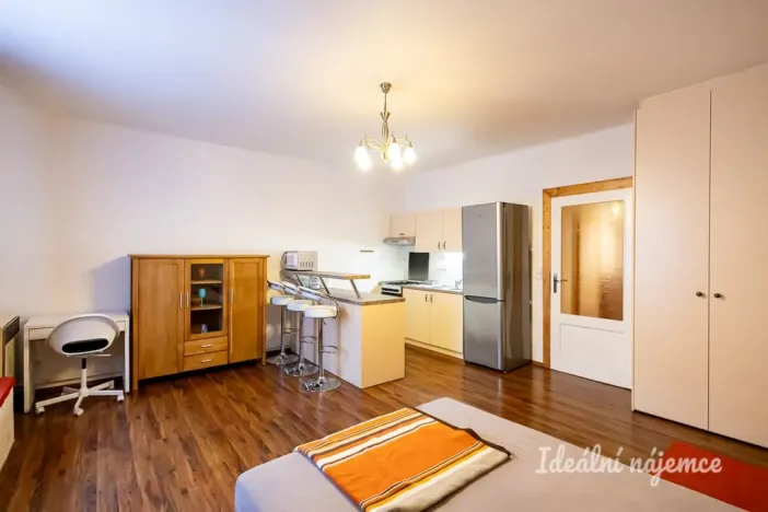 Pronájem bytu 1+kk, Praha - Žižkov, Viklefova, 38 m2