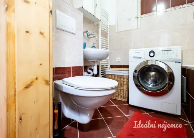 Pronájem bytu 1+kk, Praha - Žižkov, Viklefova, 38 m2
