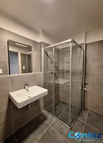 Pronájem bytu 1+kk, Praha - Karlín, Švarcova, 31 m2
