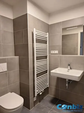 Pronájem bytu 1+kk, Praha - Karlín, Švarcova, 31 m2