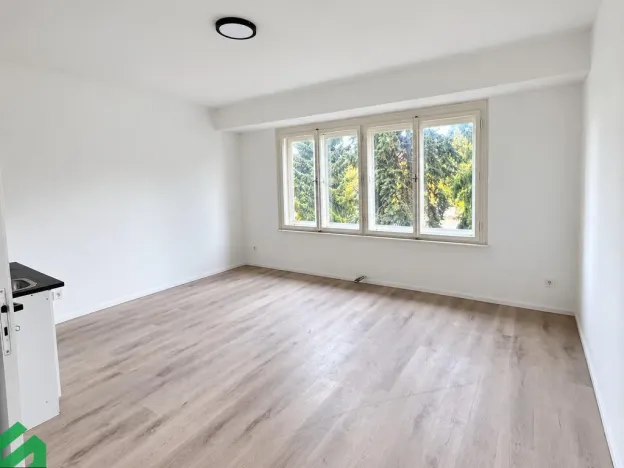 Pronájem bytu 1+kk, Praha - Libeň, Na Truhlářce, 27 m2
