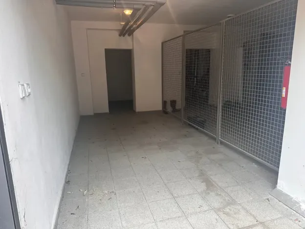 Prodej bytu 4+kk, Brno, Dřevařská, 172 m2