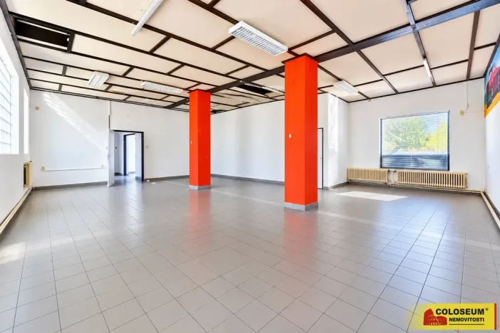 Prodej obchodního prostoru, Boskovice, 247 m2