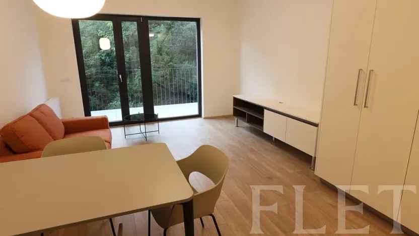 Pronájem bytu 1+kk, Praha - Žižkov, Hartigova, 38 m2