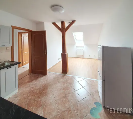 Pronájem bytu 2+kk, České Budějovice, Skuherského, 45 m2