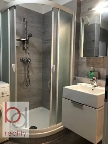 Pronájem bytu 1+kk, České Budějovice, Krčínova, 38 m2