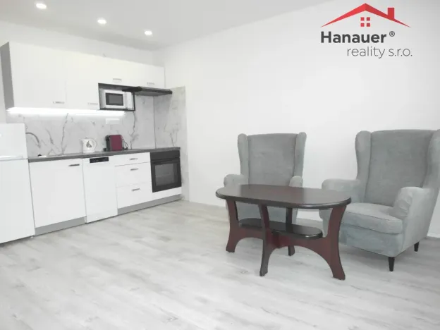 Pronájem bytu 2+kk, Ústí nad Labem - Severní Terasa, Brandtova, 40 m2