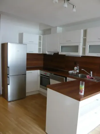 Prodej bytu 2+kk, Brno, Vinohrady, 55 m2