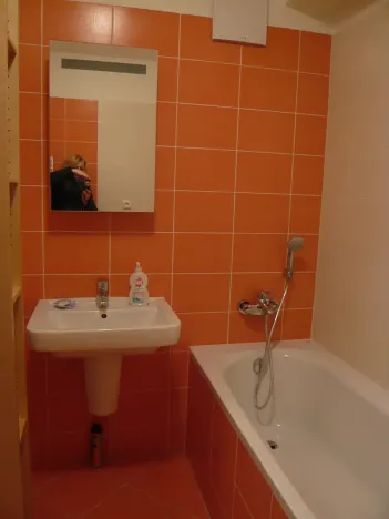 Prodej bytu 2+kk, Brno, Vinohrady, 55 m2