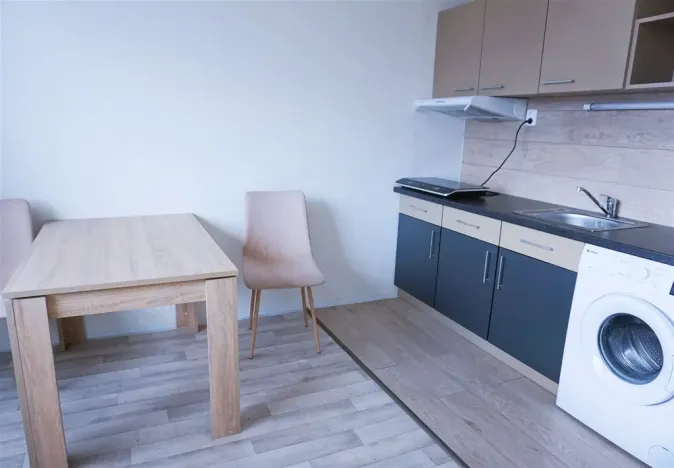 Prodej bytu 1+1, Ústí nad Labem - Všebořice, Zahradní, 33 m2