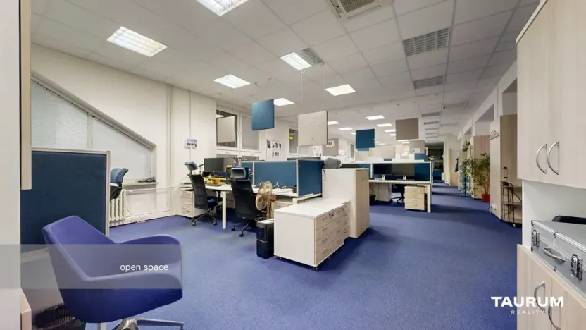 Pronájem kanceláře, Plzeň - Východní Předměstí, Slovanská alej, 481 m2