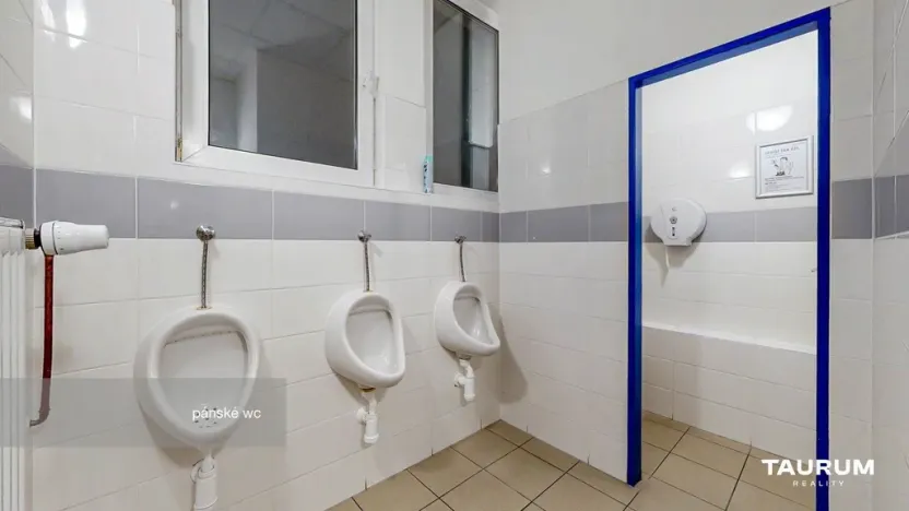 Pronájem kanceláře, Plzeň - Východní Předměstí, Slovanská alej, 481 m2