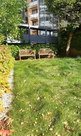 Prodej bytu 1+1, Brno - Ponava, Kartouzská, 43 m2