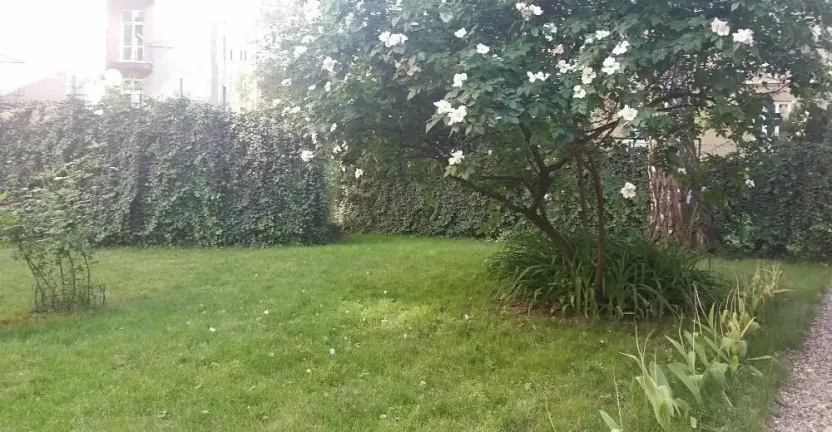 Prodej bytu 1+1, Brno - Ponava, Kartouzská, 43 m2