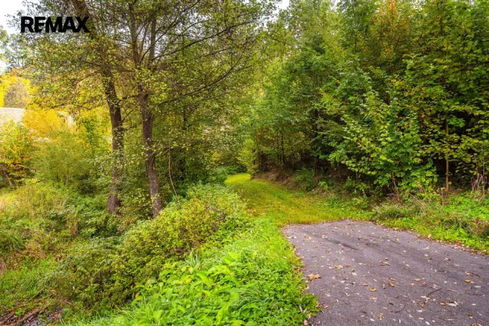 Prodej pozemku pro bydlení, Všemyslice, 4931 m2