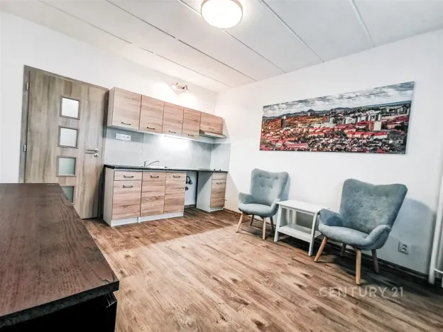 Pronájem bytu 1+kk, Most, U Věžových domů, 21 m2