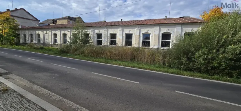 Prodej zemědělského objektu, Velký Šenov, Brtnická, 5391 m2