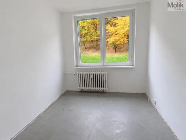 Pronájem bytu 4+1, Litvínov - Janov, Luční, 85 m2