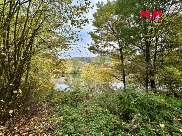 Prodej chaty, Čížová - Topělec, 50 m2