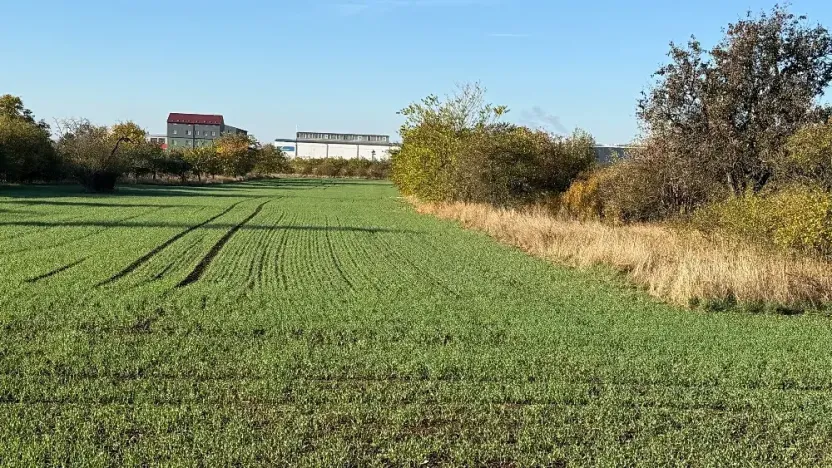 Prodej zahrady, Brno, 6418 m2
