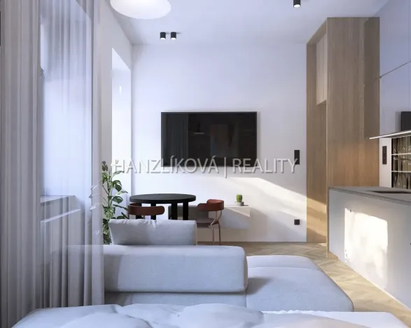Prodej bytu 1+kk, České Budějovice - České Budějovice 5, Ledenická, 27 m2