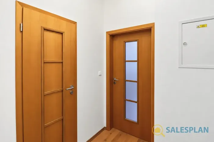 Prodej bytu 2+kk, Praha - Žižkov, Havlíčkovo náměstí, 34 m2