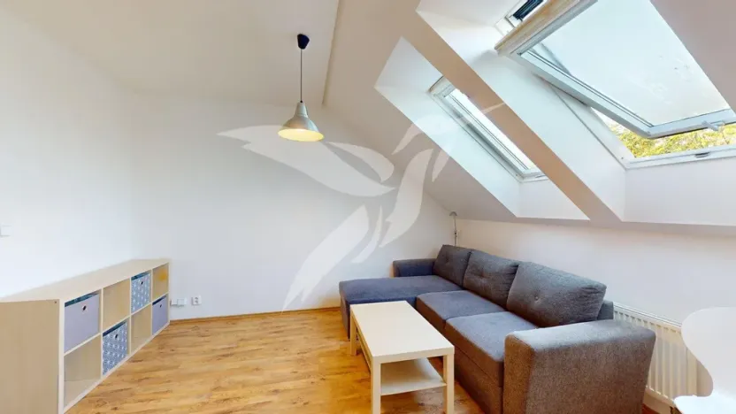 Pronájem bytu 1+kk, Plzeň, U Ježíška, 39 m2