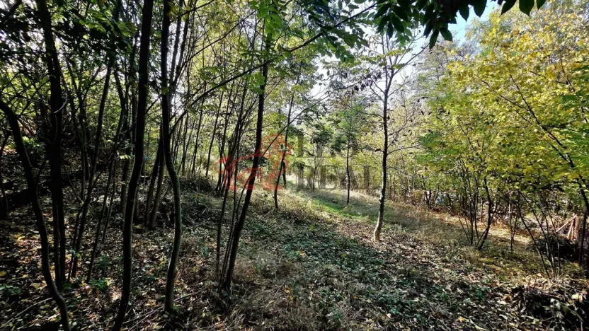 Prodej pozemku pro bydlení, Masojedy, 1619 m2