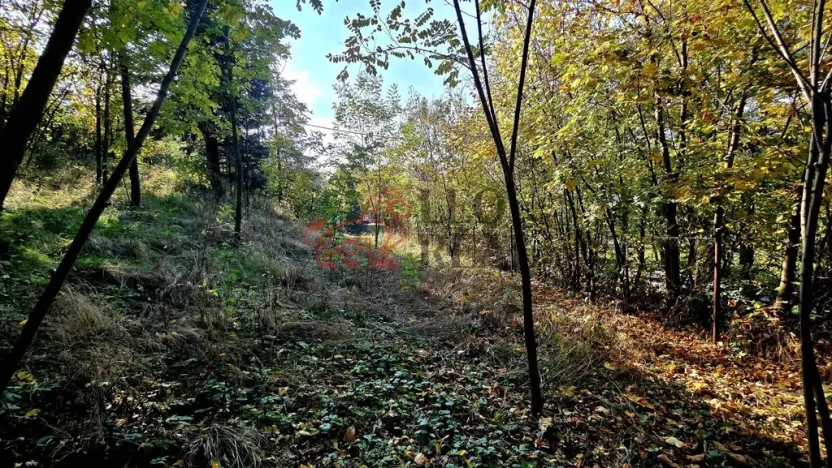 Prodej pozemku pro bydlení, Masojedy, 1619 m2