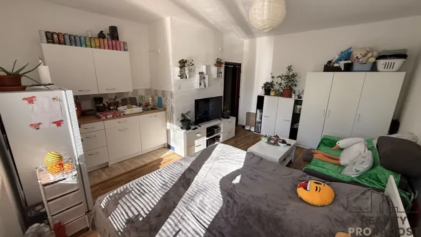Prodej bytu 1+kk, Havířov, Karolíny Světlé, 22 m2