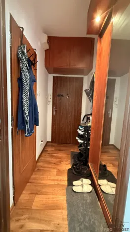 Prodej bytu 1+kk, Havířov, Karolíny Světlé, 22 m2