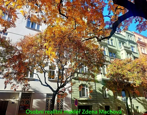 Pronájem bytu 2+kk, Praha - Vinohrady, U Kanálky, 45 m2