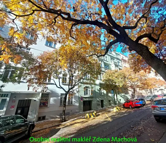 Pronájem bytu 2+kk, Praha - Vinohrady, U Kanálky, 45 m2