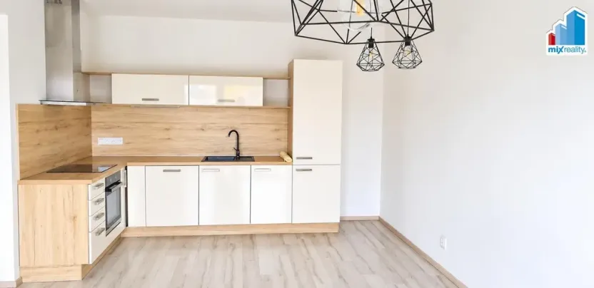 Pronájem bytu 2+kk, Plzeň - Východní Předměstí, Papírnická, 59 m2