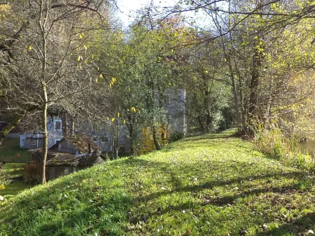 Dražba pozemku pro bydlení, Nové Hrady, 813 m2