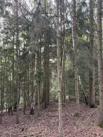 Prodej rybníku, Vráž, 3145 m2