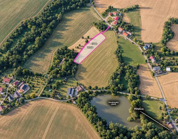 Prodej louky, Miřetice, 4326 m2