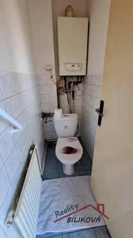 Pronájem rodinného domu, Lázně Toušeň, Na Nábřeží, 90 m2