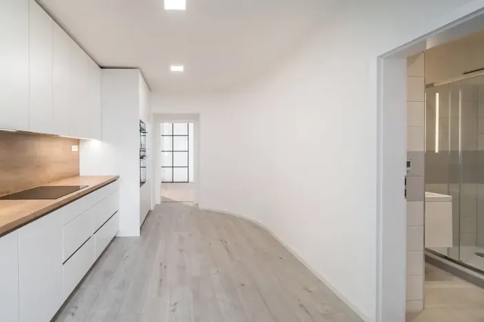 Prodej bytu 1+1, Brno, Cejl, 50 m2
