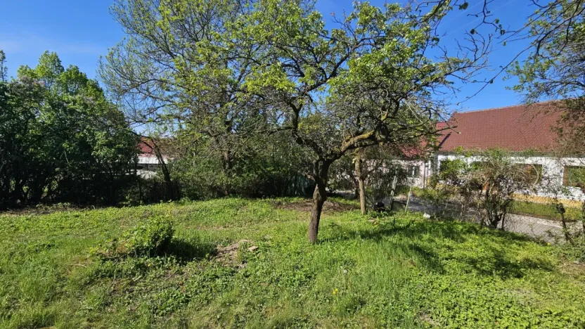 Prodej komerčního pozemku, Popice, 345 m2