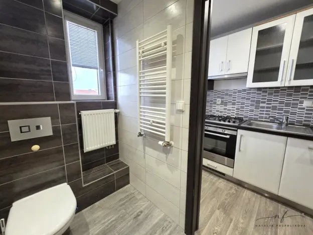 Pronájem bytu 2+kk, Březová, Okružní, 43 m2