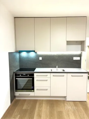 Pronájem bytu 1+kk, Písek - Budějovické Předměstí, Harantova, 20 m2