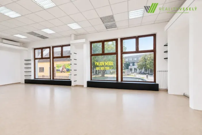 Pronájem obchodního prostoru, Hodonín, Štefánikova, 90 m2