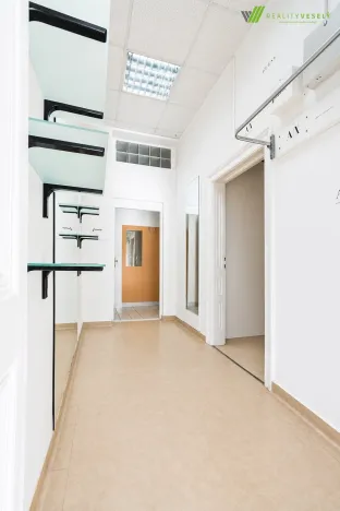 Pronájem obchodního prostoru, Hodonín, Štefánikova, 90 m2